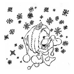 Nieve #28437