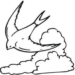 Nube #28536