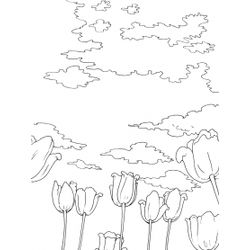 Nube #28576