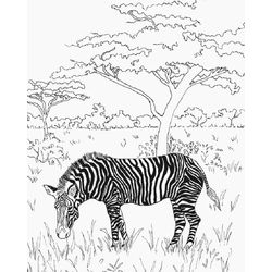 Paisaje #28614
