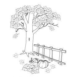 Paisaje #28633