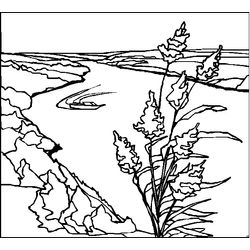 Paisaje #28646
