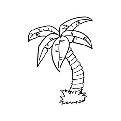 Palmera #28660