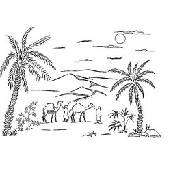 Palmera #28664