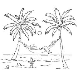 Palmera #28666