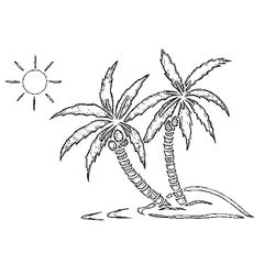 Palmera #28669
