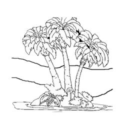 Palmera #28674