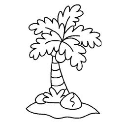 Palmera #28675