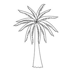 Palmera #28676