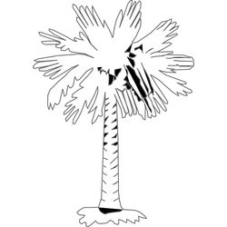 Palmera #28677