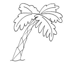 Palmera #28678