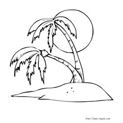 Palmera #28679