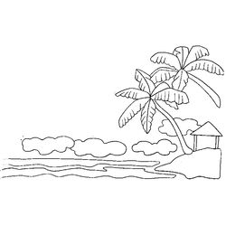Palmera #28682