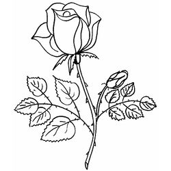 Ramo de flores #28914