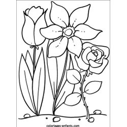 Ramo de flores #28920
