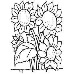 Ramo de flores #28924