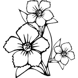 Ramo de flores #28935