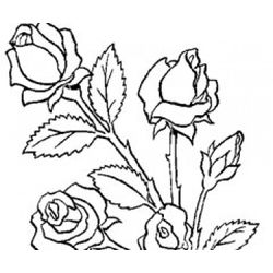 Ramo de flores #28957