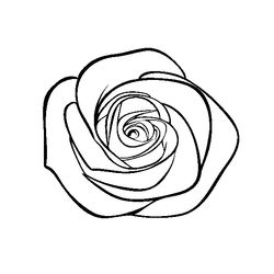Ramo de flores #28960