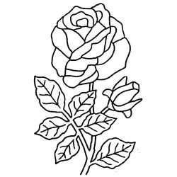 Ramo de flores #28970