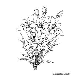 Ramo de flores #28973