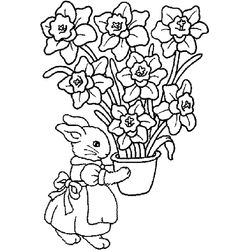 Ramo de flores #28975