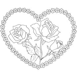 Rosas #29040