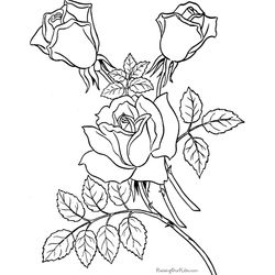 Rosas #29045