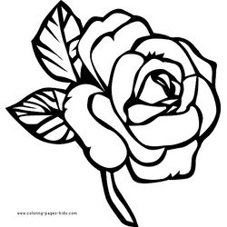 Rosas #29048