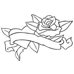 Rosas #29058