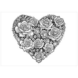 Rosas #29061