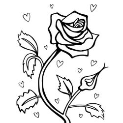 Rosas #29066