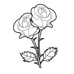 Rosas #29067