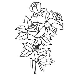 Rosas #29068