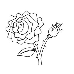 Rosas #29069