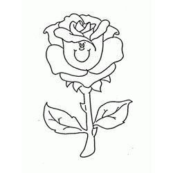 Rosas #29072