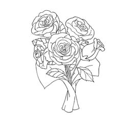 Rosas #29073