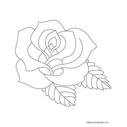Rosas #29078