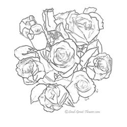 Rosas #29082