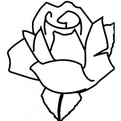 Rosas #29103
