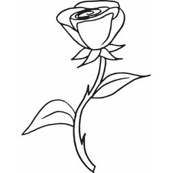 Rosas #29105