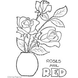 Rosas #29107