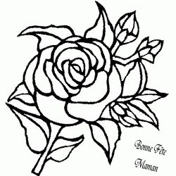 Rosas #29111