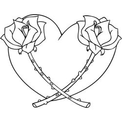 Rosas #29112