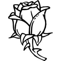 Rosas #29124
