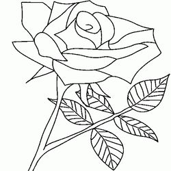 Rosas #29125