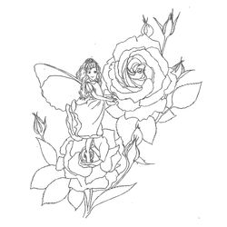 Rosas #29129