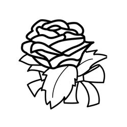 Rosas #29131
