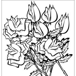 Rosas #29133