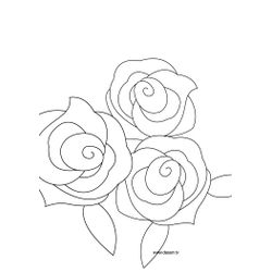 Rosas #29134